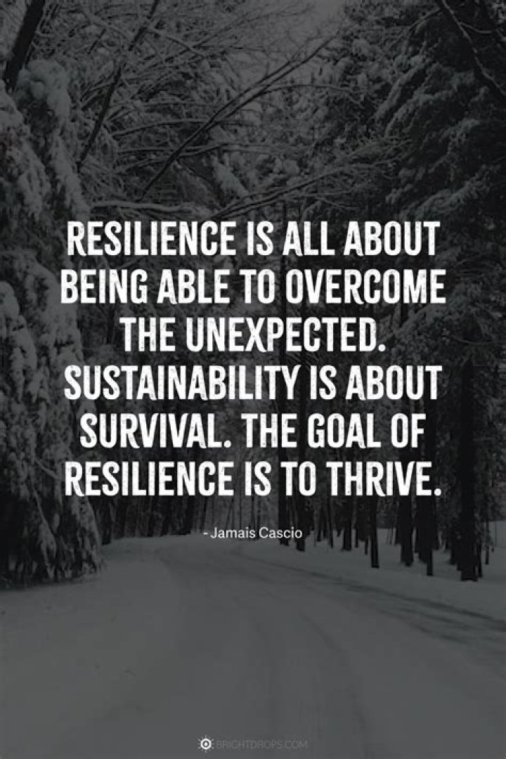 A Harrowing Tale Of Survival And Resilience