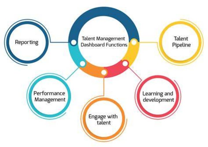 A Journey Into Talent, Versatility, And Empowerment