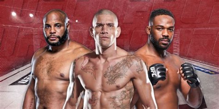 A Journey Into The UFC Heavyweight Division
