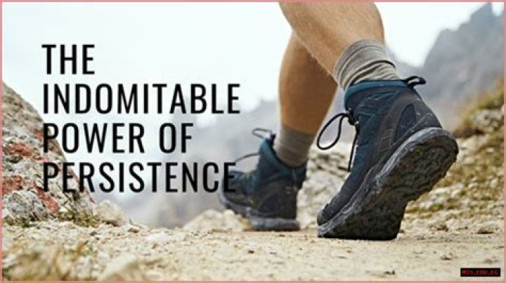 A Journey Of Versatility, Depth, And Enduring Success