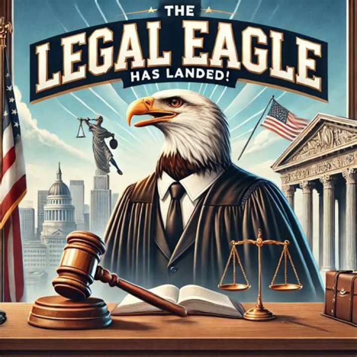 A Legal Eagle's Insights And Journalism Prowess