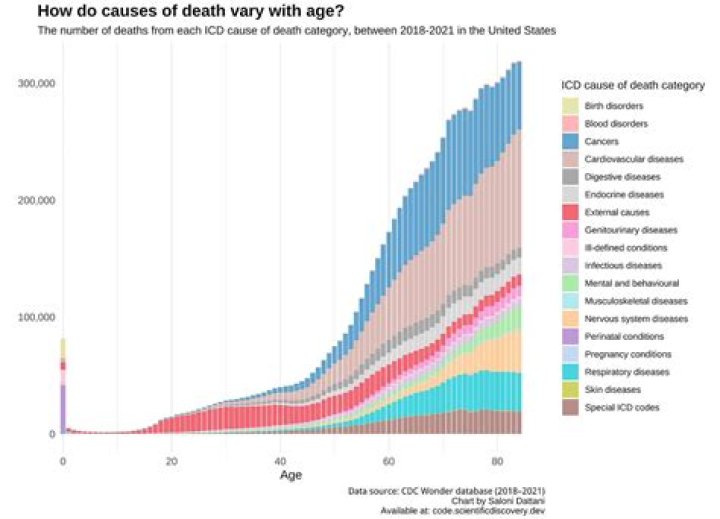 Age Of Death, Facts, And Legacy