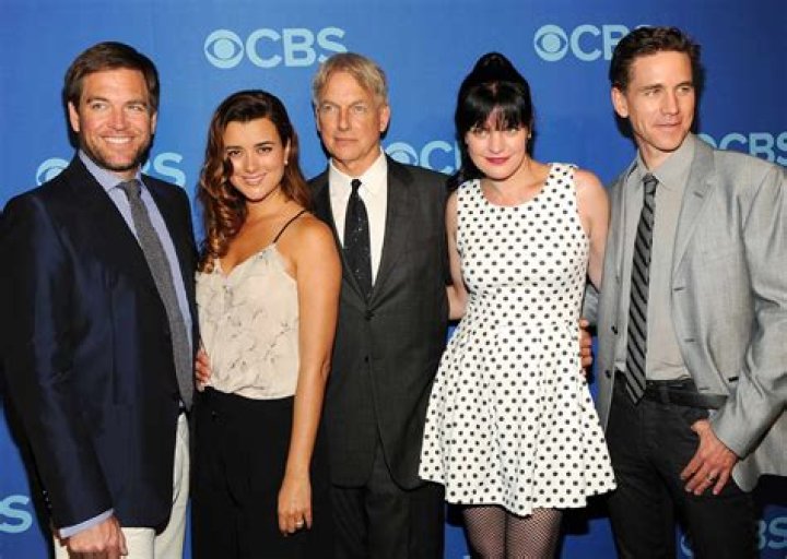 Cote De Pablo's Whereabouts And Endeavors