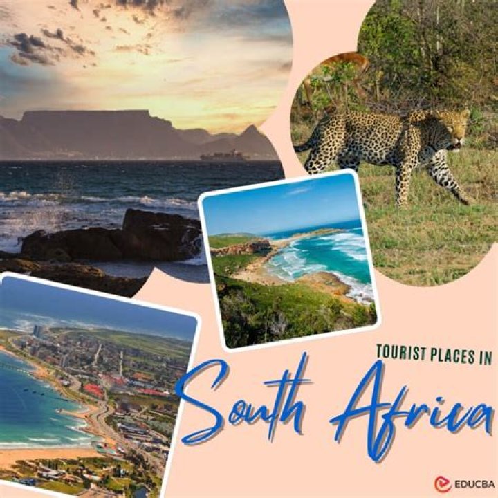 Discover The Enriching World Of Canadian Exchange Students In South Africa On TikTok