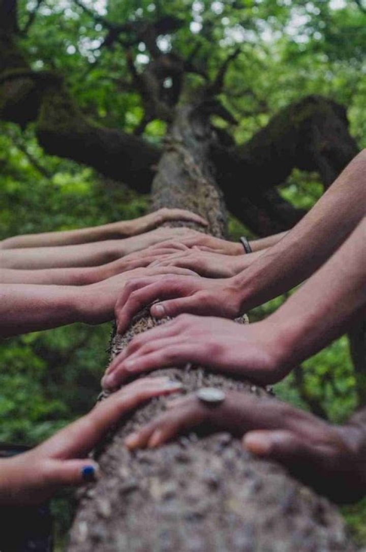 Discover The Power Of Family, Community, And Perseverance