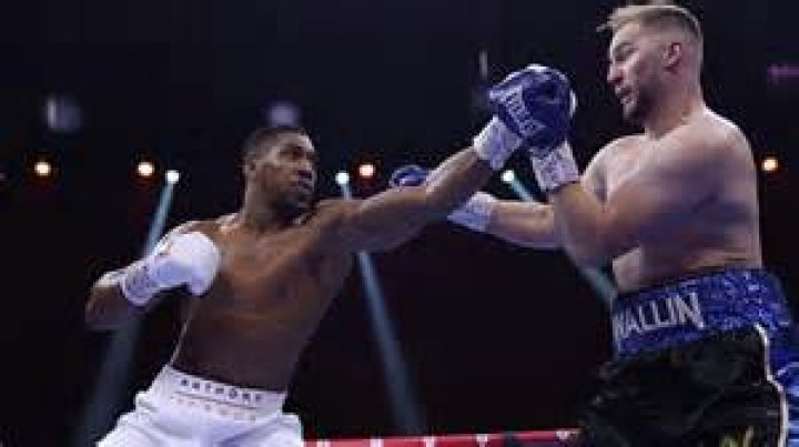 Discoveries And Insights For The Boxing Enthusiast