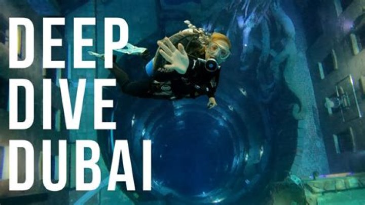 Dive Into The World Of Homeboy Movies
