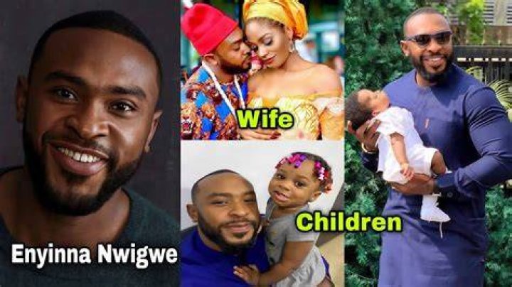 Enyinna Nwigwe And Daniella Down's Relationship Unveiled