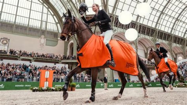 Equestrian Excellence: Karl Cook, A Masterful Horseman