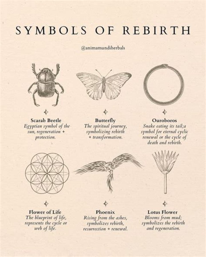 Exploring Death And Rebirth Symbology