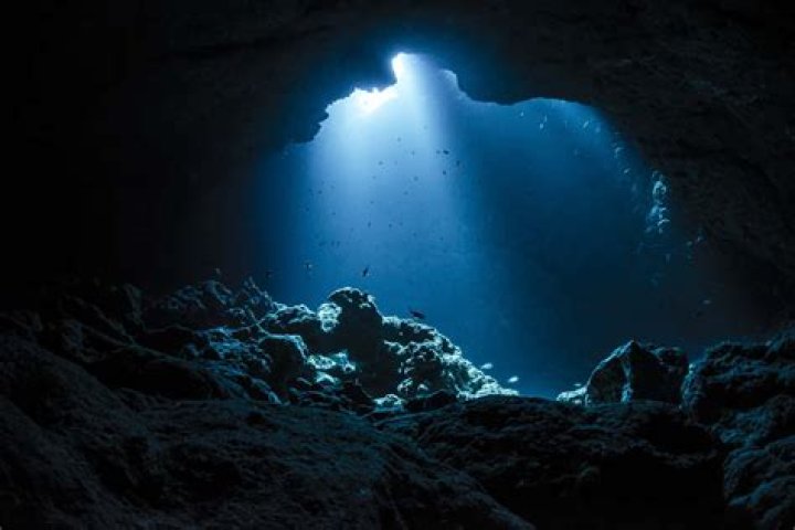 Exploring The Depths Of Klyer Quin