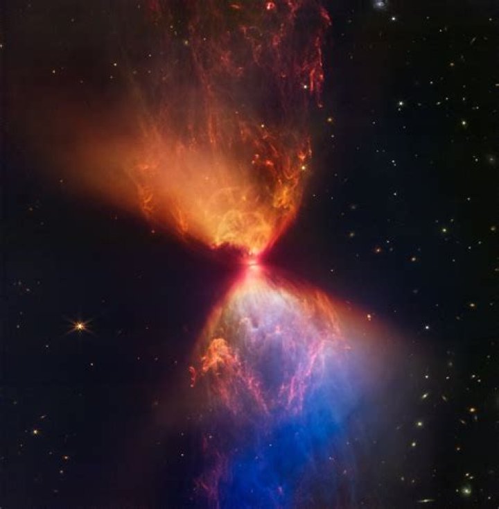 Exploring The Life Of A Star's Offspring