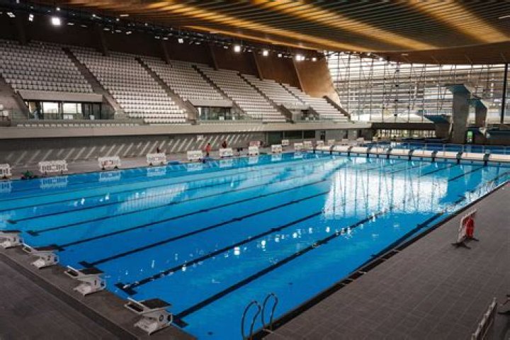 Get To Know The Olympic Swimming Star's Family