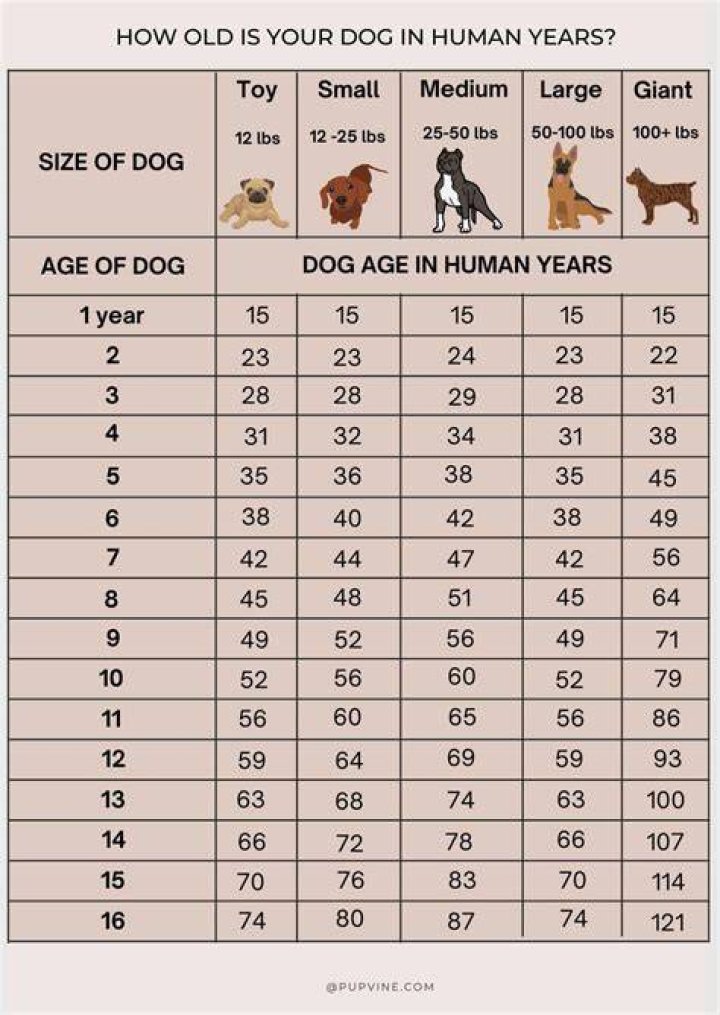 How Old Are They And What Are Their Names?