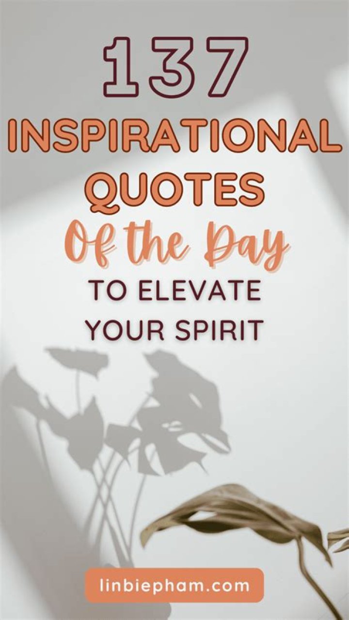 Inspirational Drake Quotes To Elevate Your Spirit
