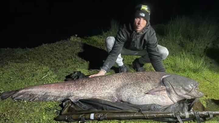 Is Catfish Scripted Or Reality Revealed?
