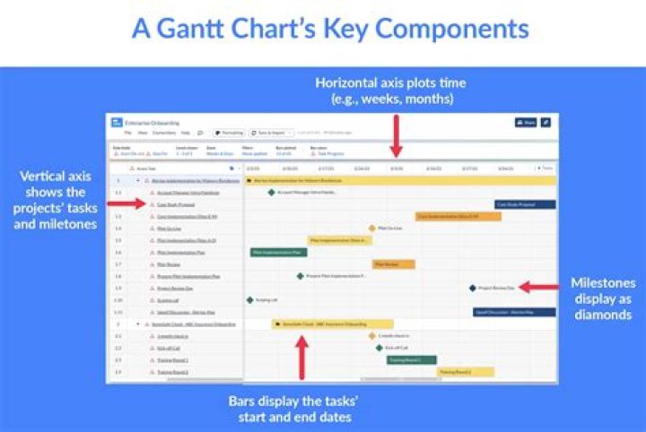 Meet Clara Gantt: The Visionary Leader Behind Gantt Charts