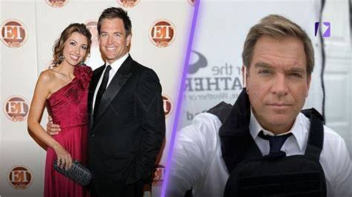 Net Worth, Marriage, And NCIS Fame