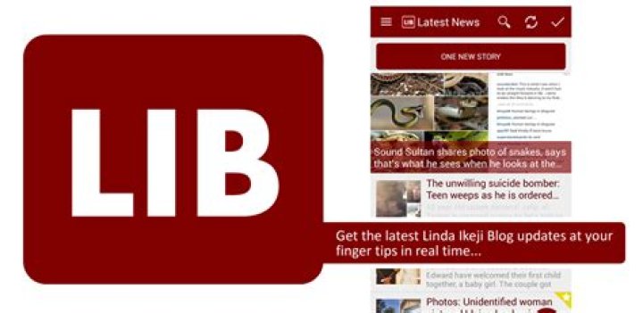 Supercharge Your Blog: Expert Insights From Ikeji Blog