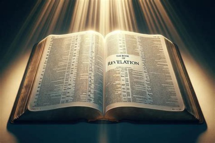 Surprising Revelations And Success Secrets