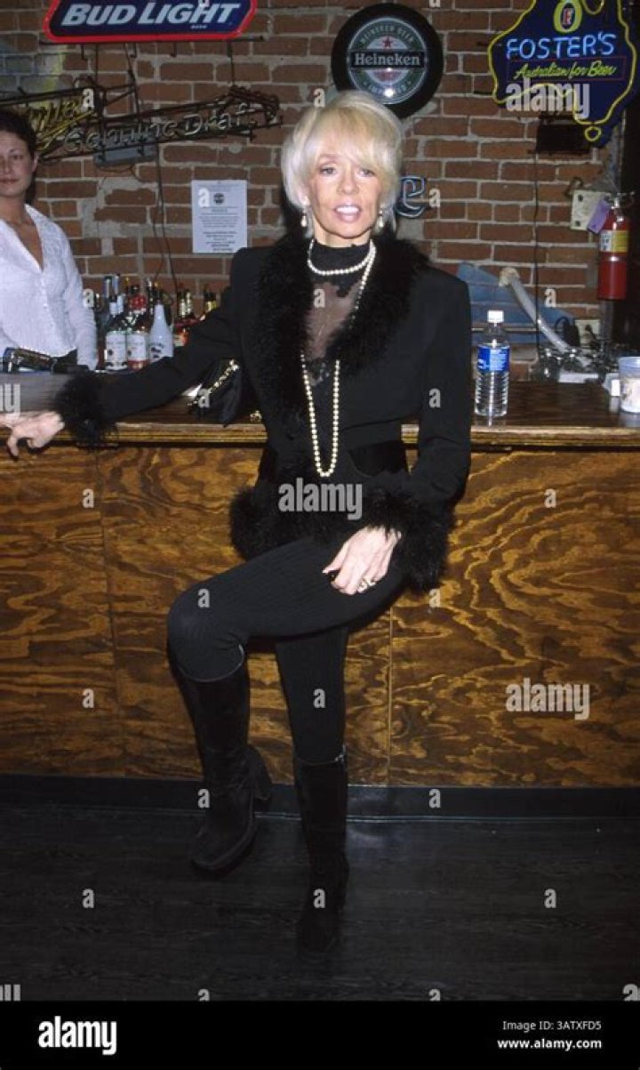 The Journey Of Joey Heatherton: A Current Look