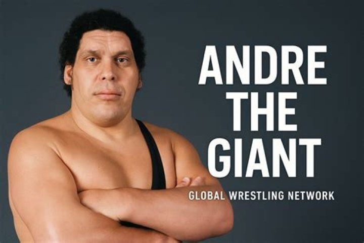 The Untold Story Of Andre The Giant's Wifely Companion