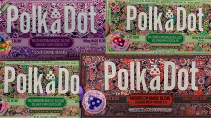 Uncover The Secrets Of "Polkadot Fake"