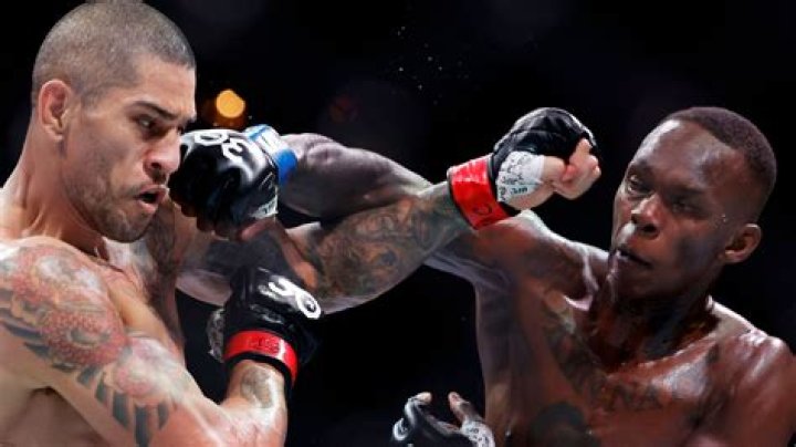 Unraveling The Impact Of Israel Adesanya's Canine Companion