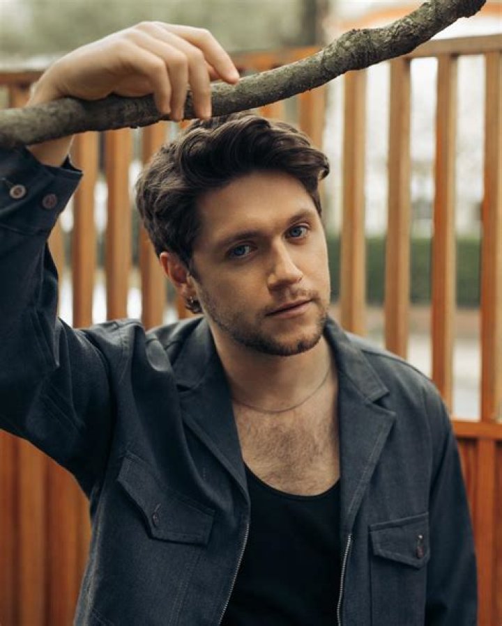 Unraveling The Multifaceted Role Of Niall Horan's Brother: Discoveries And Insights