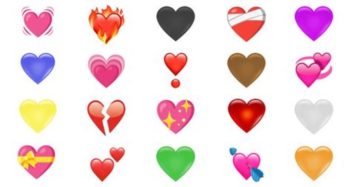 Unveiling A World Of Heart And Humor