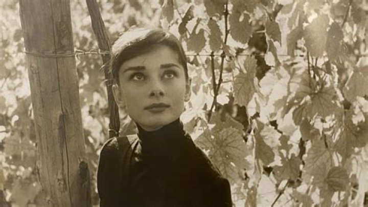 Unveiling Audrey Hepburn's Last Photo: Discoveries And Surprising Insights