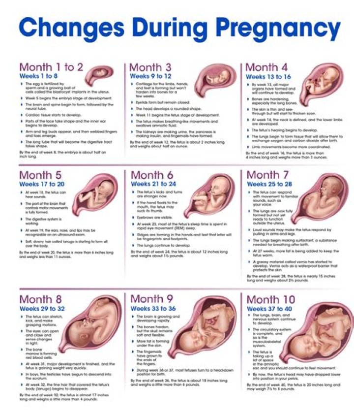 Unveiling The Extraordinary Truth: Jade Cargill's Pregnancy Journey