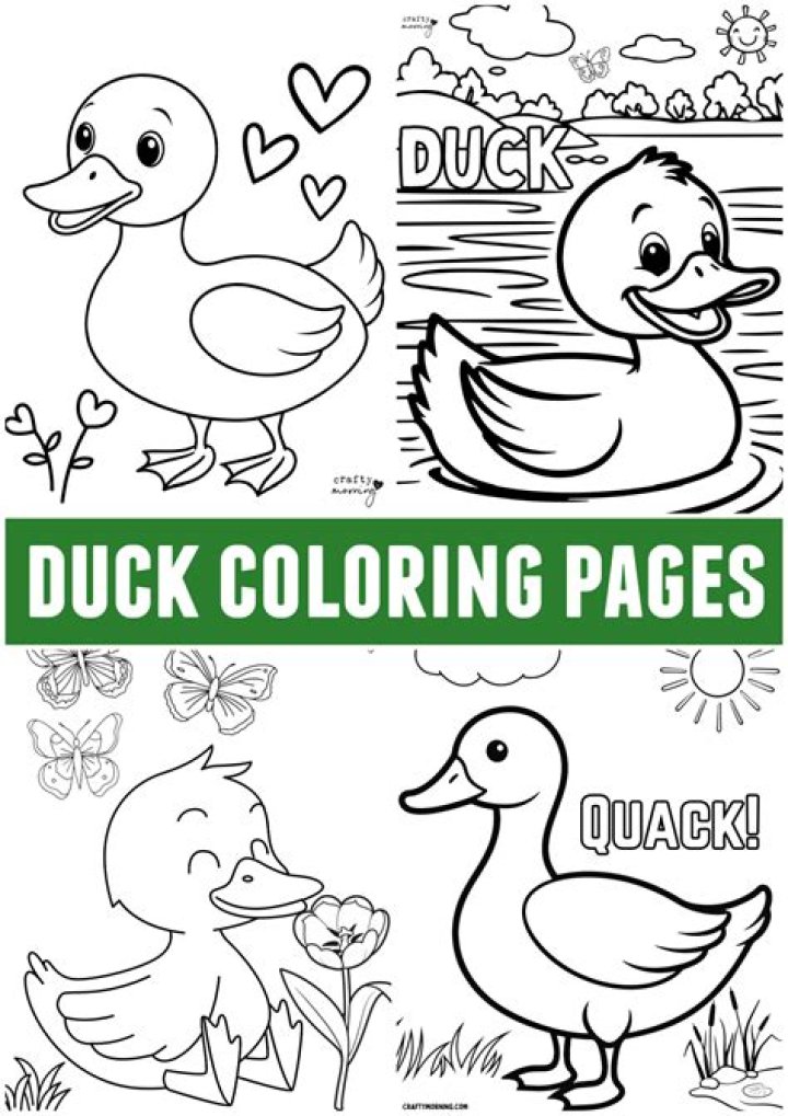 Unveiling The Hairless Wondrous Duck