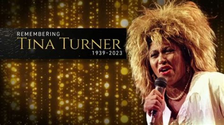 Unveiling The Life Of Tina Turner's Daughter: Unforgettable Story