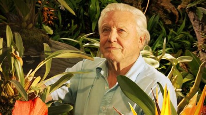 Unveiling The Private Life Of Mike Baker: Discoveries And Insights