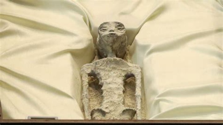 Unveiling The Secrets Of Baby Alien Videos: Discoveries And Insights