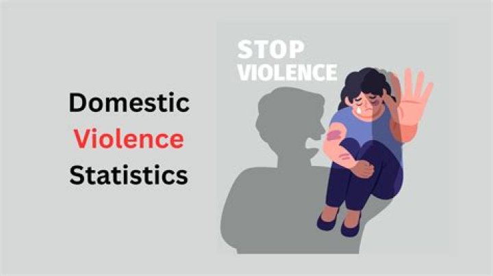 Unveiling The Truths: Vitaly Domestic Violence, Insights Revealed