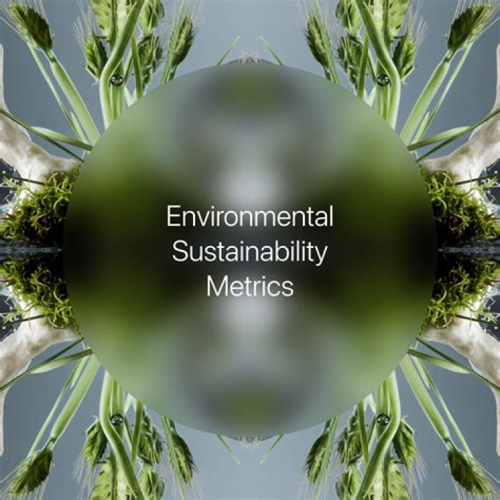 Unveiling The World Of Joanna Blunt: Sustainability, Style, And Impact