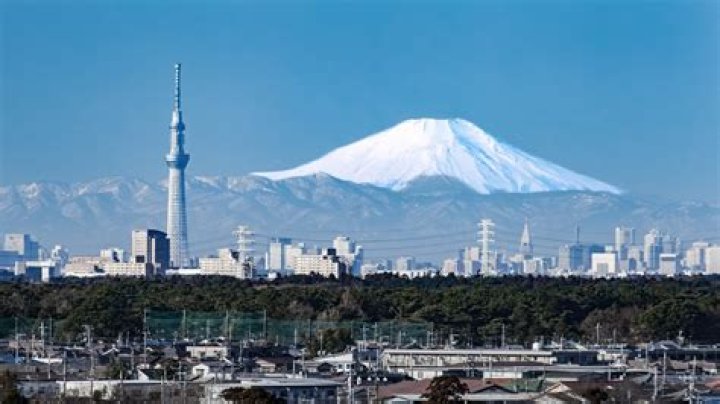 Unveiling Tokyo Toni's Age: Discoveries And Insights Revealed