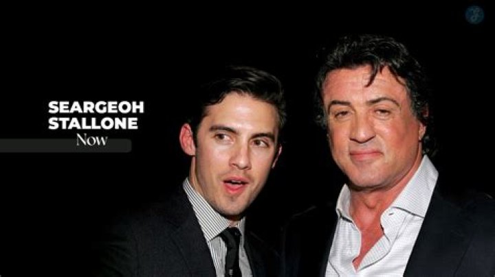 Who's Seargeoh Stallone? The Ultimate Guide To The Talented Actor