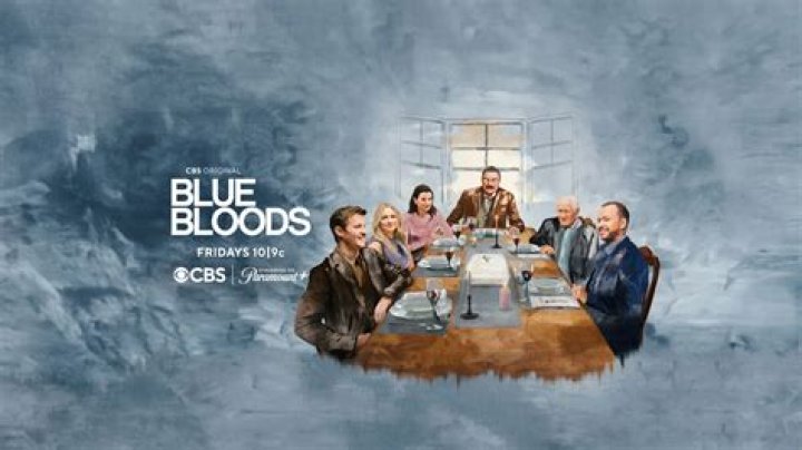 Will Hochman Stars In Hit TV Show "Blue Bloods"